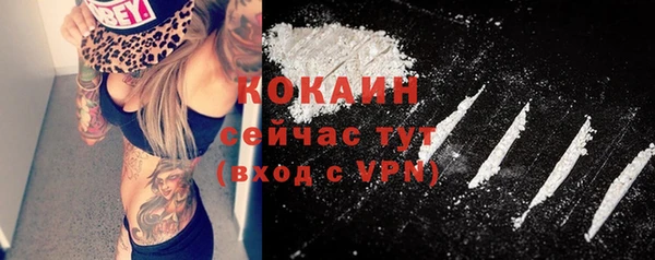 гашик Абинск