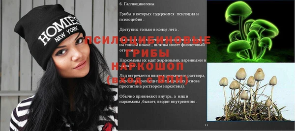 гашик Абинск