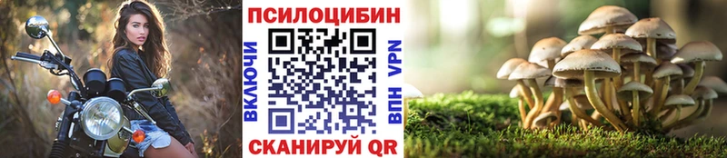 купить закладку  Шиханы  mega маркетплейс  Псилоцибиновые грибы Magic Shrooms 